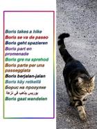 Cover of "Boris Takes a Hike"